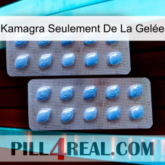 Kamagra Seulement De La Gelée viagra4